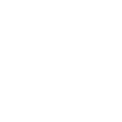 Mandala Icon